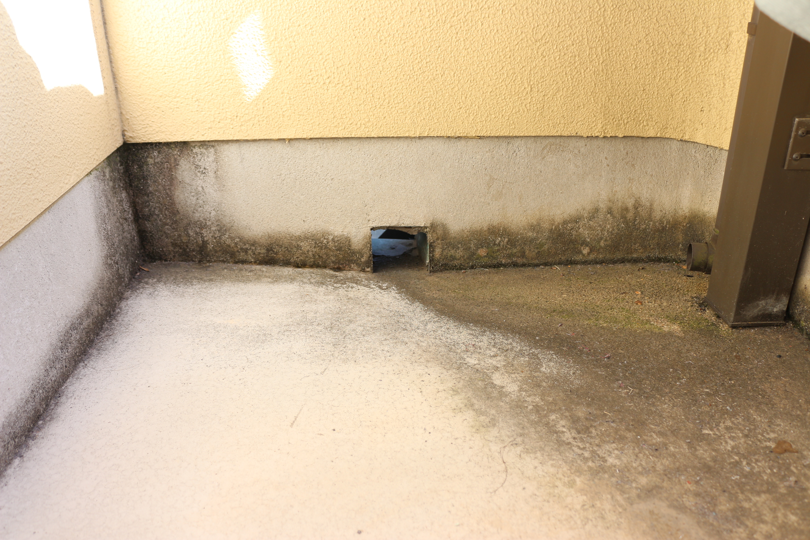 建物外部（バルコニー）の確認