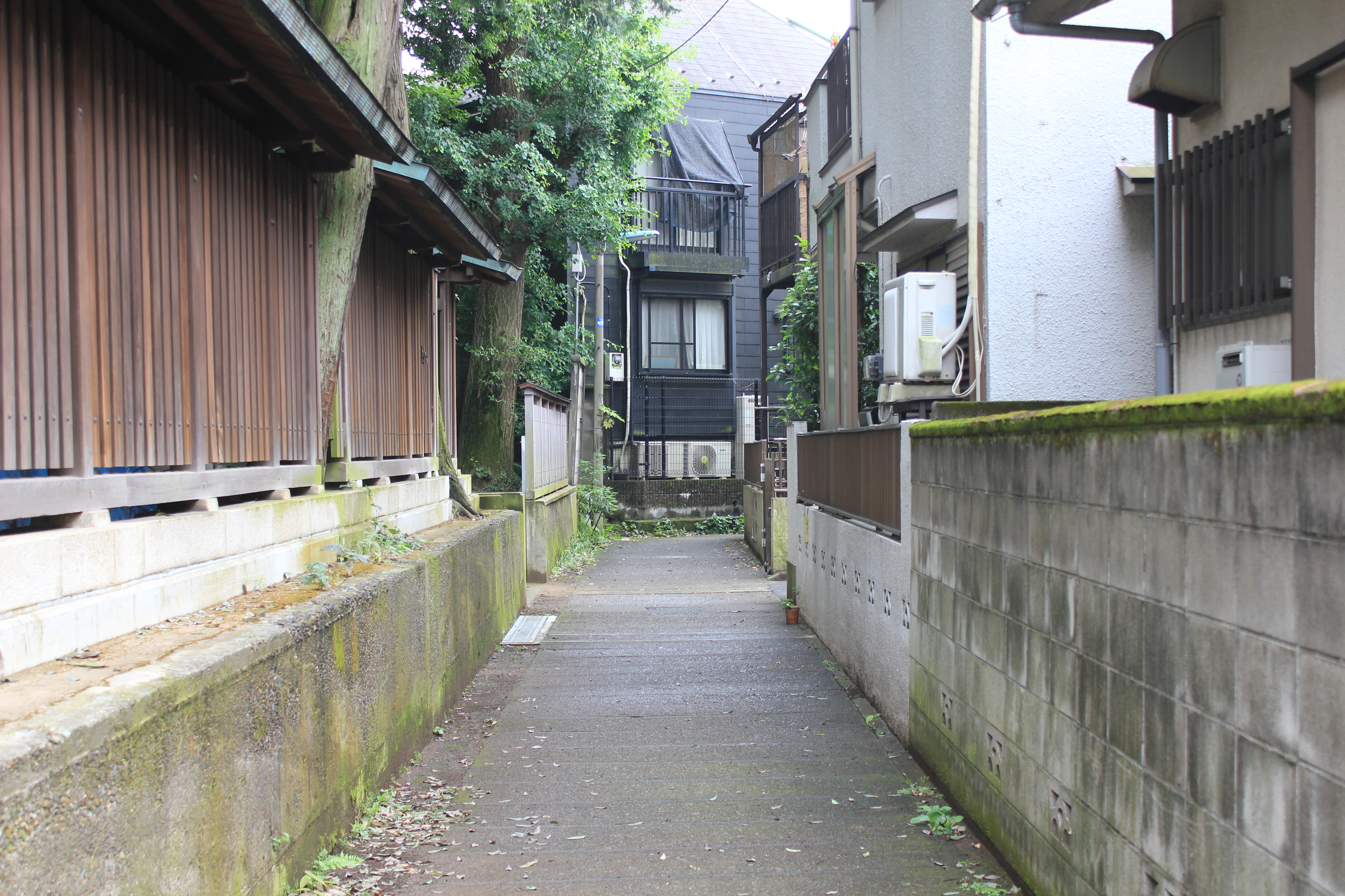 近隣の確認